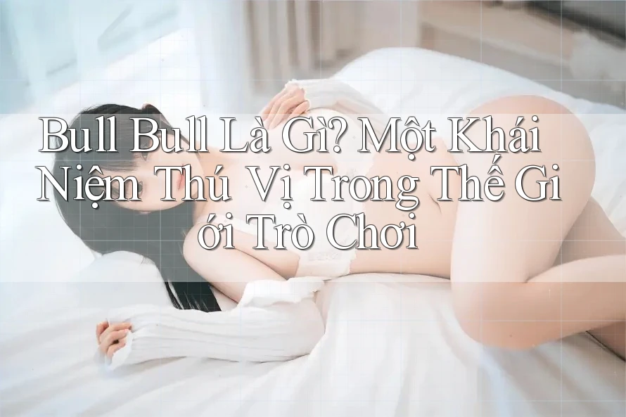 Bull Bull Là Gì? Một Khái Niệm Thú Vị Trong Thế Giới Trò Chơi