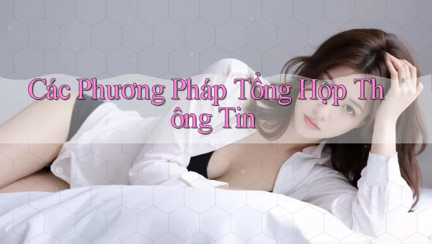 Các Phương Pháp Tổng Hợp Thông Tin Các Phương Pháp Tổng Hợp Thông Tin