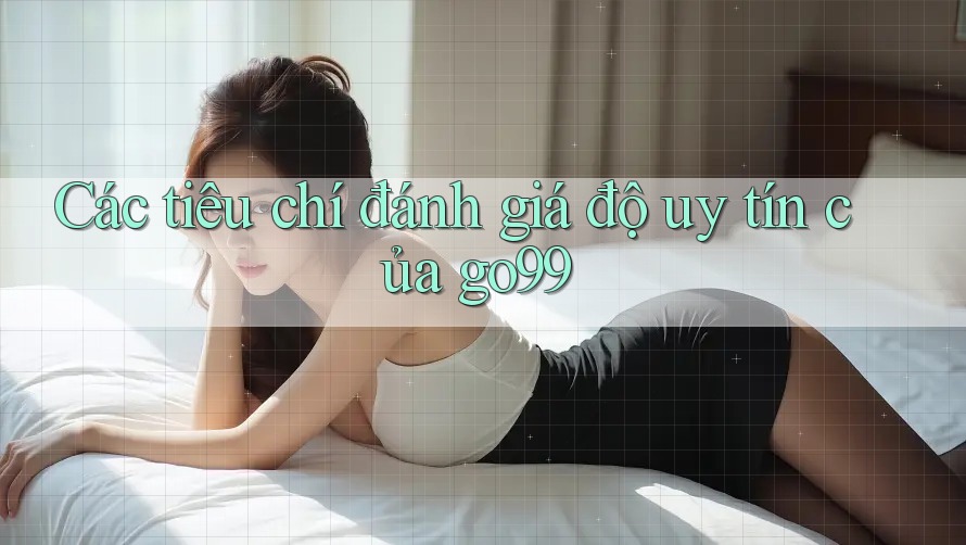 Các tiêu chí đánh giá độ uy tín của go99 Các tiêu chí đánh giá độ uy tín của go99