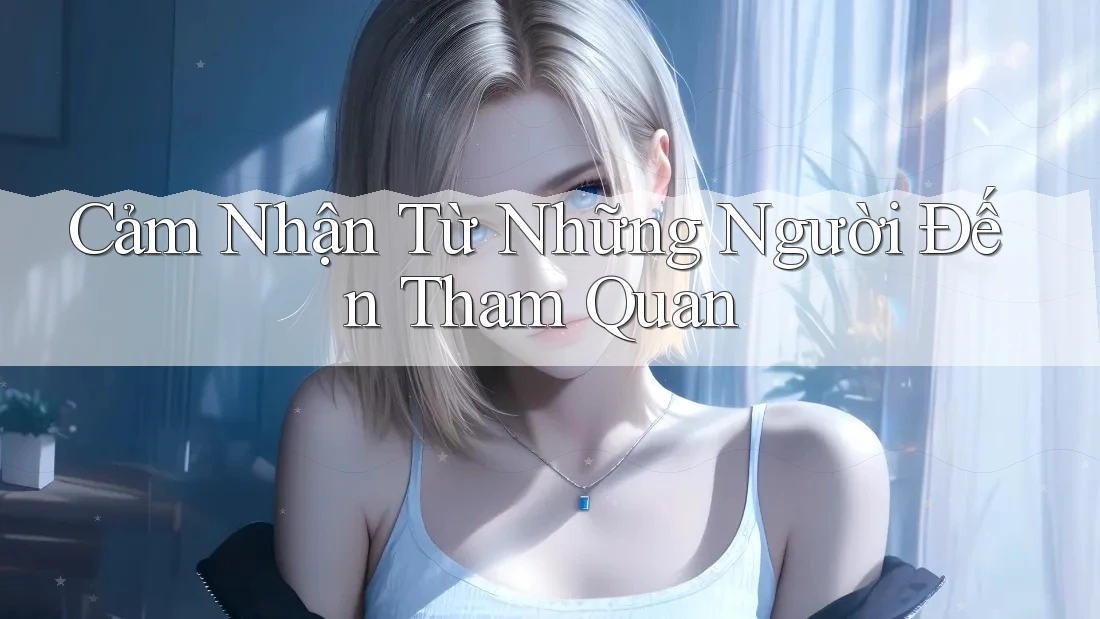 Cảm Nhận Từ Những Người Đến Tham Quan Cảm Nhận Từ Những Người Đến Tham Quan