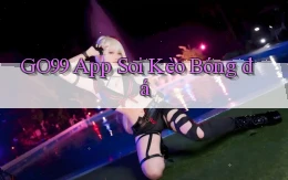 go99 app soi kèo bóng đá