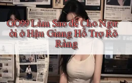 go99 làm sao để cho người ở Hậu Giang hỗ trợ rõ ràng