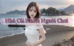 nhà cái Nhiều người chơi