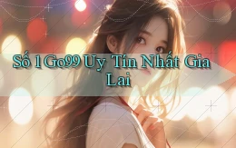số 1 go99 uy tín nhất Gia Lai