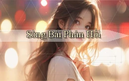 sòng bài Phản hồi