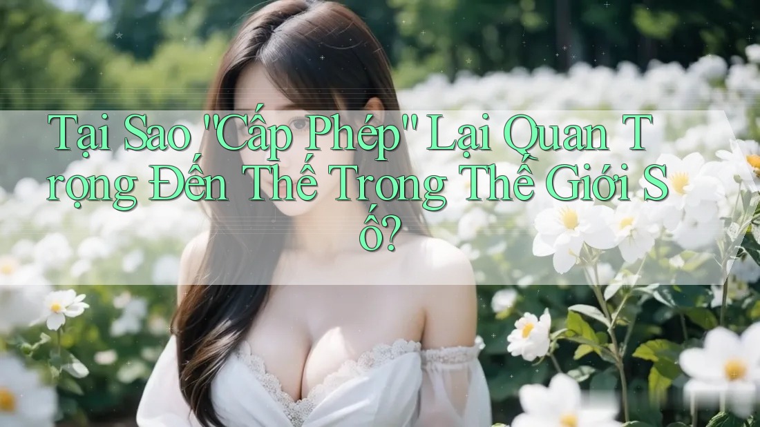 Tại Sao “Cấp Phép” Lại Quan Trọng Đến Thế Trong Thế Giới Số? Tại Sao “Cấp Phép” Lại Quan Trọng Đến Thế Trong Thế Giới Số?