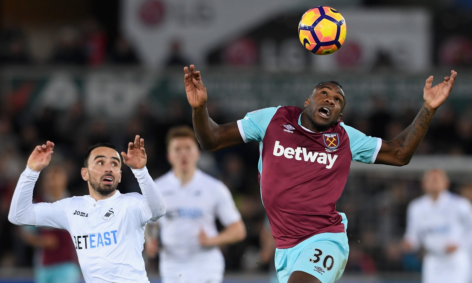 形成鲜明对 形成鲜明对